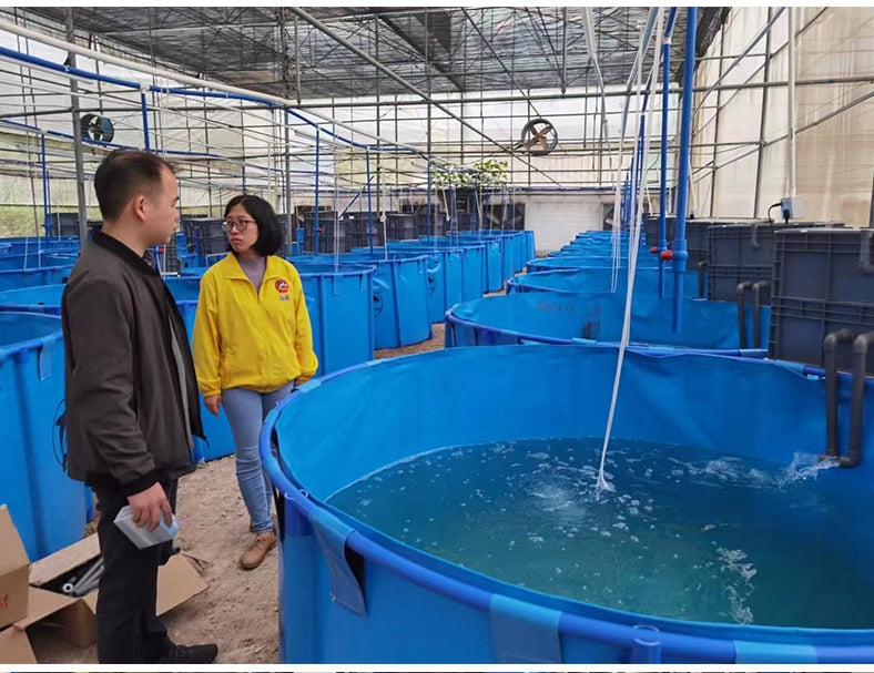 Two people inspecting a blue collapsible fish water tank with bubbling water in a greenhouse, surrounded by multiple similar tanks in rows, ideal for aquaculture or indoor water storage systems.