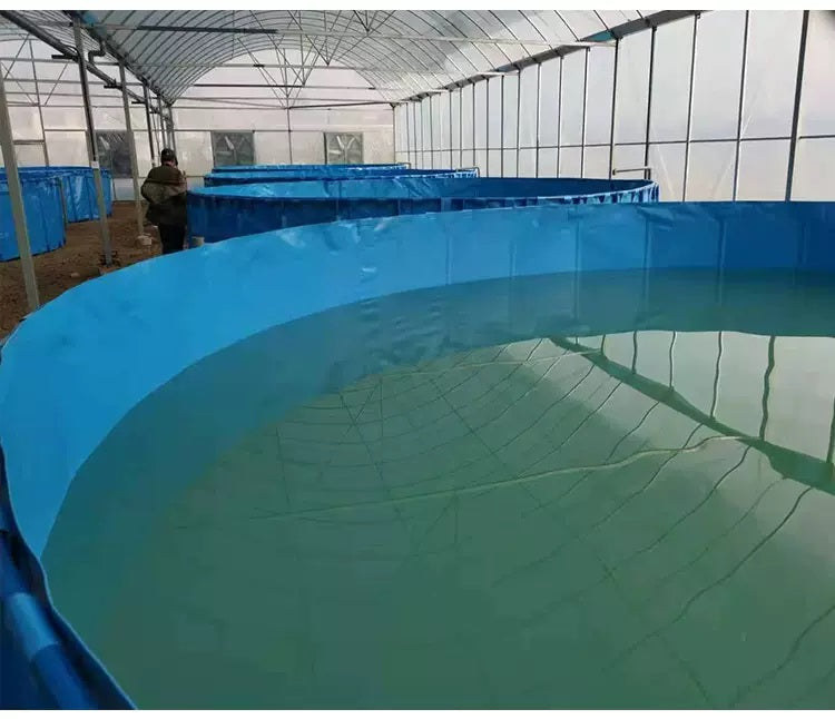 Rainbow Round PVC Fish Pond – Bracket-Supported Aquaculture Tank
