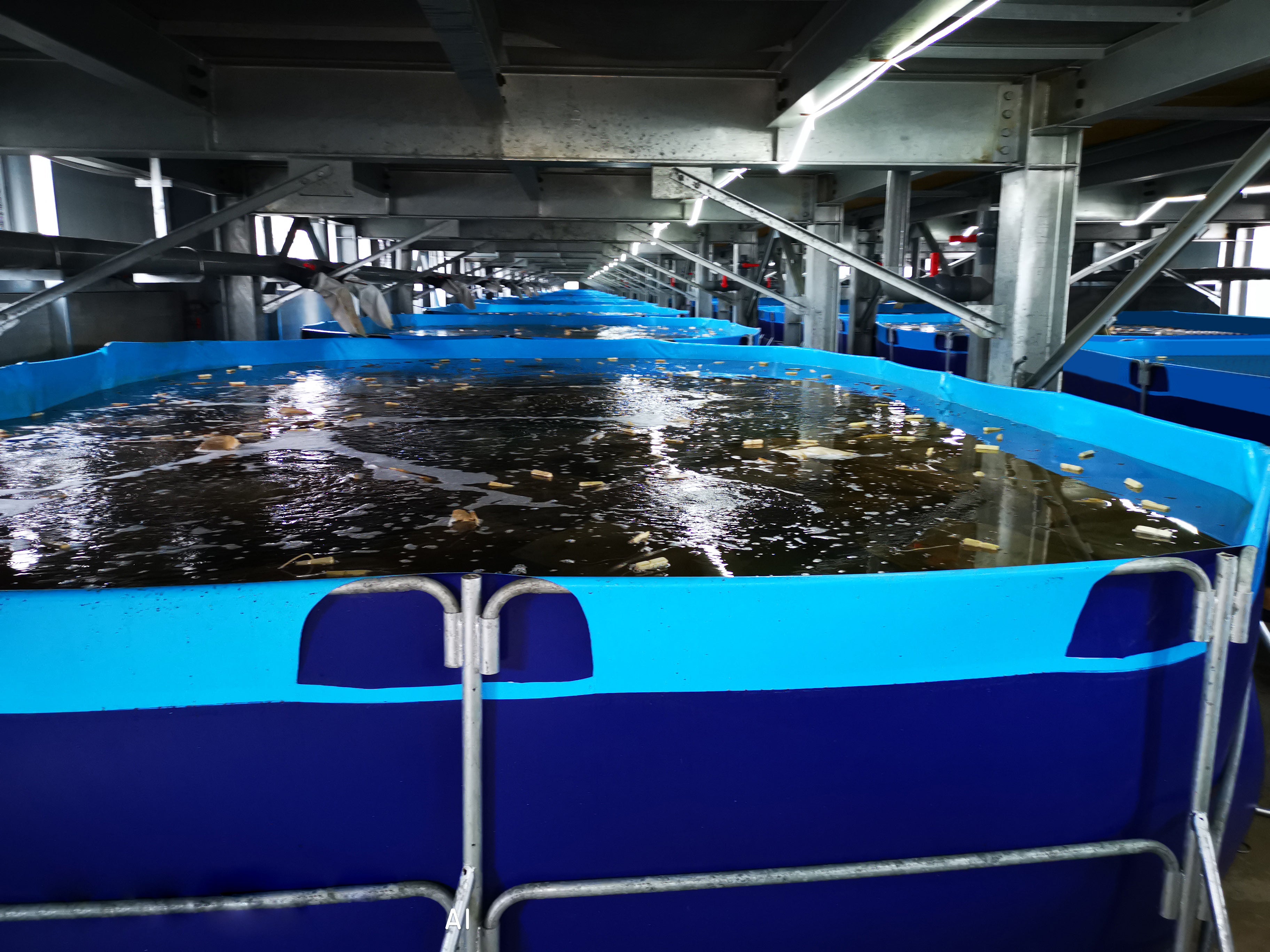 Large blue industrial water storage tanks arranged in a row inside a facility.