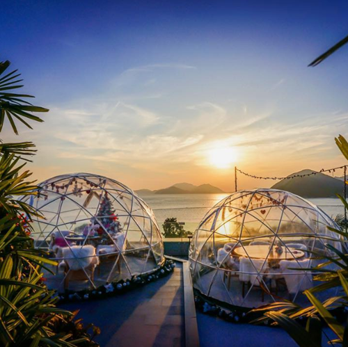 Transparent TPU Igloo Glamping Dome Tent – Outdoor Hotel & Resort