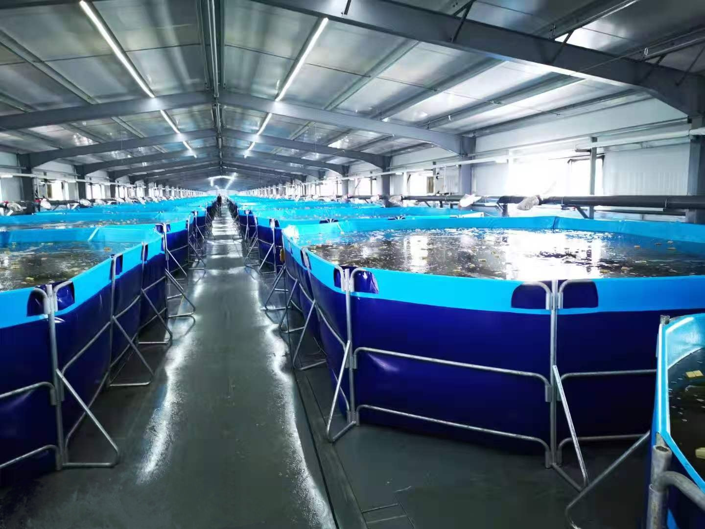 Indoor aquaculture or water treatment setup with multiple rectangular tanks.