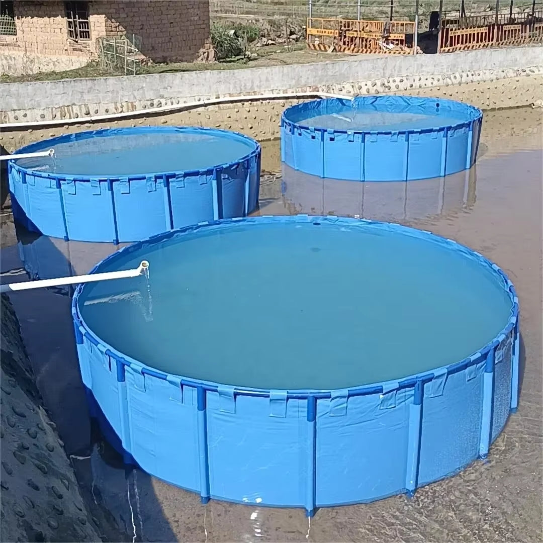 A large, circular blue above-ground water pool filled with water, featuring a white frame with connecting pipes, stands on a surface with a black fitting visible on the side.