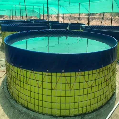 This image shows a close-up of a circular fish farming tank, commonly used in biofloc or aquaculture systems.