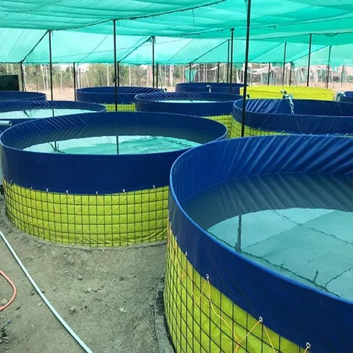 This image shows a series of circular fish farming tanks made with wire mesh and a waterproof liner, commonly used in aquaculture or biofloc fish farming systems.